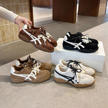 ţƤ~ƤߵӖЬŮ2026¿e\ЬxЬЬ