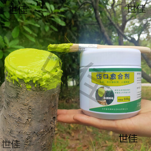 ���l��ľ�������ϸ������ډTĤ����䄓���TĨ����ɷ�ډ�����
