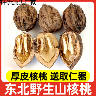 �|��ɽ����2025��؛��ƤӲƤ�ք������Ӻ��������r��С�ں���