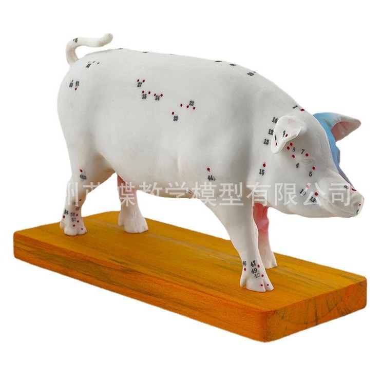 �������Ѩλģ�� ������ģ�� ��ҽģ�� ����ģ�� �����ģ��