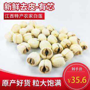 ɏ�Ӹ�ɏ���׏V����ɏ�Ҝ�����ɏ��ȥƤ�o���y�����؛ɏ��