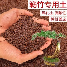 小叶簕竹专用土酸性土壤土勒竹颗粒植物种植土红土花肥竹子营养土