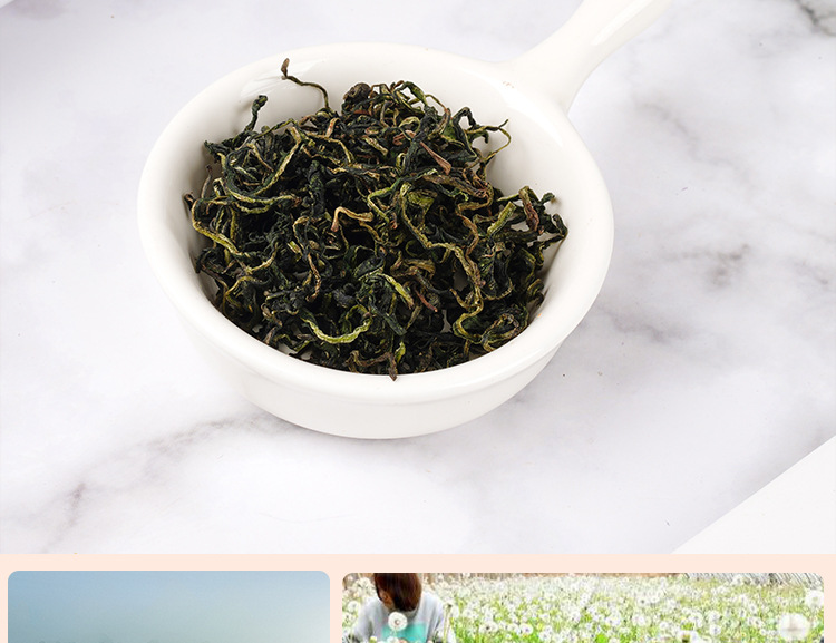 Dandelion Leaf Tea (Taraxacum mongolicum) — Dried Herbal Tea, 50g Jar in use