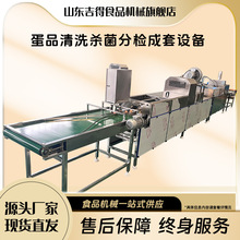 洗蛋机养殖场食品厂专用风干杀菌光检分检喷码成套流水线保洁蛋用