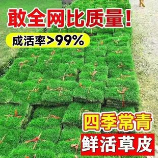 ��Ƥ������ƺ�������Ƥ���λС�^���@�G���و��R·ͥԺ���]���l