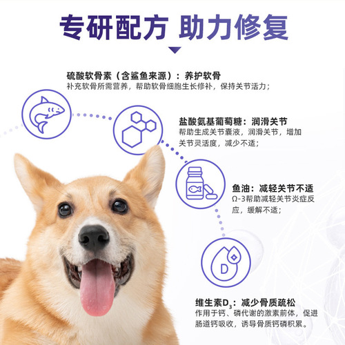 New Favorite: Kang Pet Shark Cartilage—10-Tablet Box—Nutritional Supplement for Dogs and Cats—Healthcare Product for Adult and Puppies