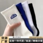 字母女士防臭秋冬季运动袜