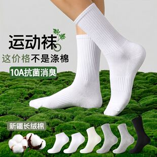 �m�����ı���10A��������SGS�½������m��Ͳ�\���m��ʿ���m���l