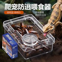 爬宠雨林缸面包虫蟋蟀杜比亚防逃逸睫角守宫蜥蜴塑料透明喂食盆碗