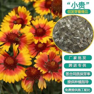 ���l�ݻ��N���˾շN�ͺ�ͥԺ�������^�������Ի��N���ѻ��ܷN��