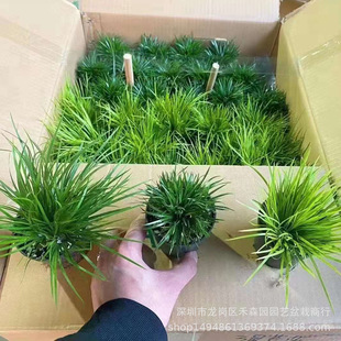 ���X������΢���辰���S�𼧻������ֲ���k���������ļ�����Gֲ