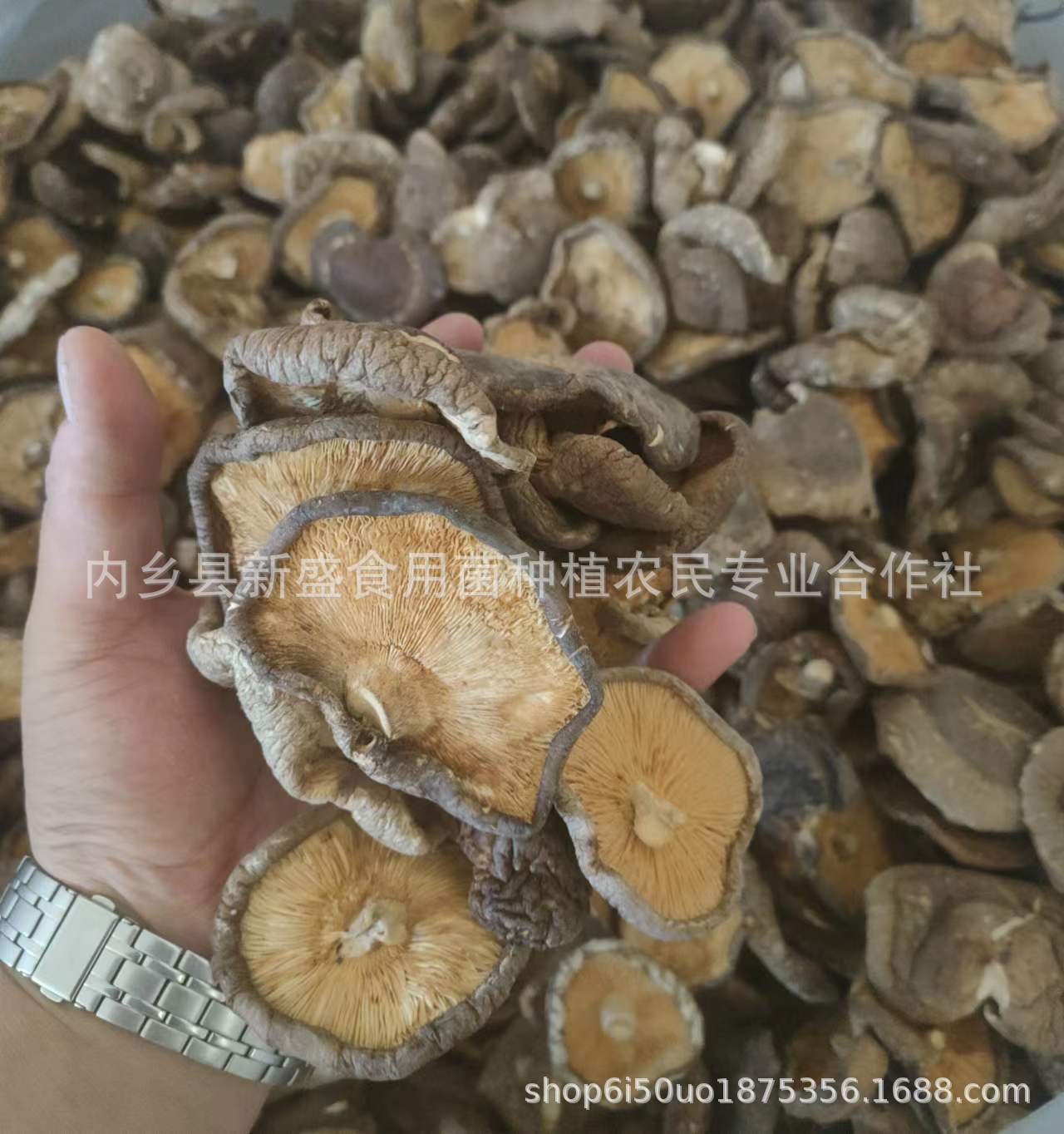 2540f864b71790f5b570a542e21053