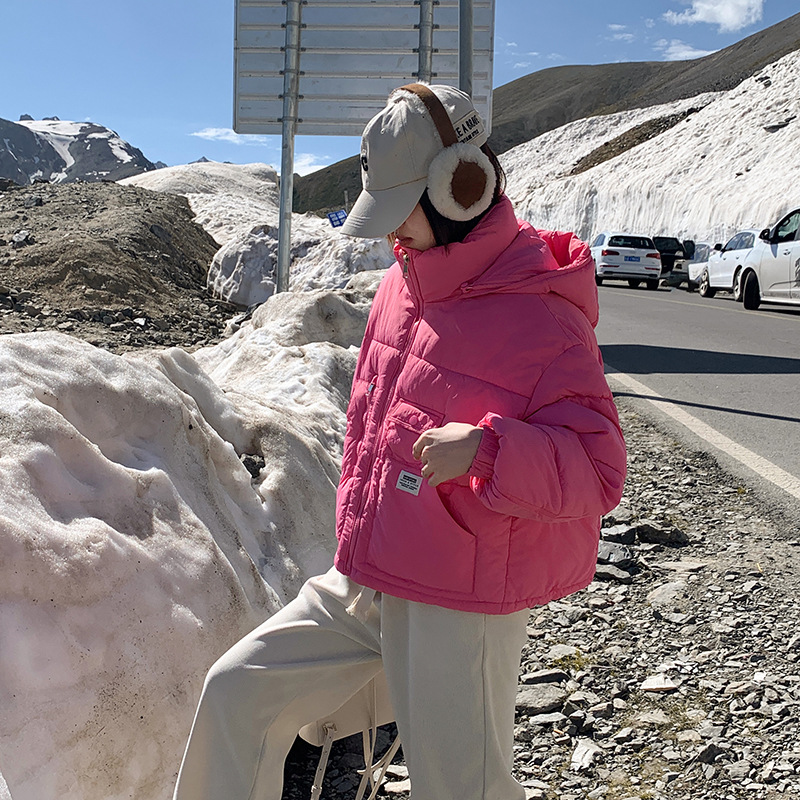 Capa de plumón corta para mujeres 2024 nuevo hombre pequeño estilo de moda extranjero deportivo de plumón pan chaqueta cálida