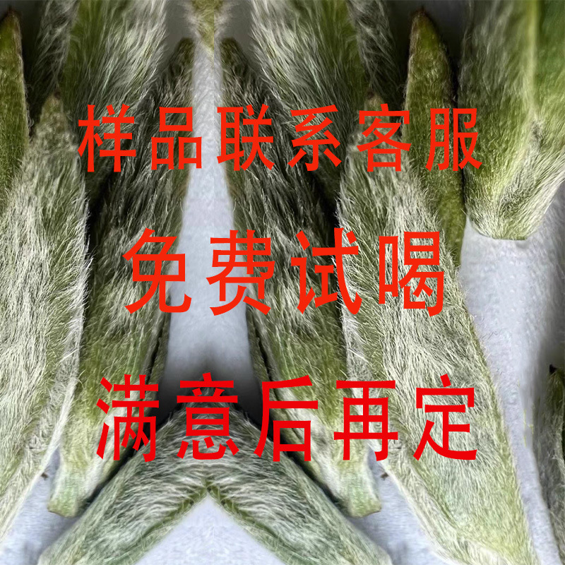 福建福鼎白茶白毫银针牡丹贡王寿太眉老白茶饼茶样姥山荒自产山野