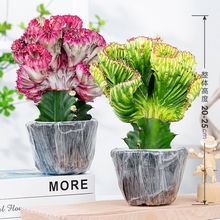 ����ֲ�����������������Ʋ����������҃ȿ͏d����ȩ���ܾGֲ����