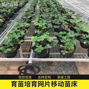 ���Ҵ���Nֲ���ػ�����������̶��紲�W�߲��Bֳ�������紲�WƬ