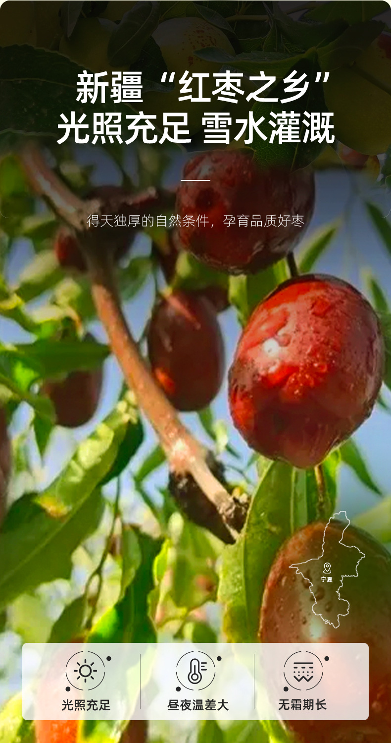 Dried Xinjiang Grey Jujube Dates 250g Bag Ready to Eat Red Date Snack key features