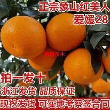 ������ɽ�t���˘������̖��ƽ�̽۟o��������޽ӽ��Ә��玧��