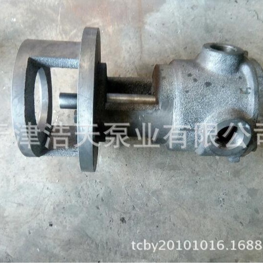 直连齿轮泵TDN 转子齿轮泵 涂布机齿轮泵 滤油机齿轮泵 内齿轮泵