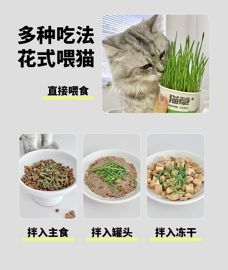 新猫草详情_08.jpg