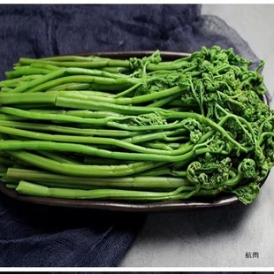 ˮާ�˖|���aˮާ�����rɽҰ��ˮާ����ˮ�ك����r���賴ʳ����