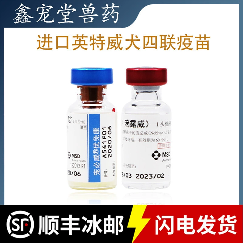 Пит Biewei Intway Вакцина для собак Четырехельная взрослая собака 4 Вакцина для собак Маленький щенок