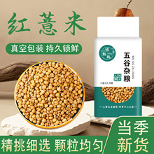 �t޲�����ా��ԭ��������s�Z�t��޲��֧��һ�����l