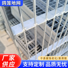 �S�����a�������\�ؾW ��\�F�z�W�Bֳ�������\ �Bֳ���\�ؾW����