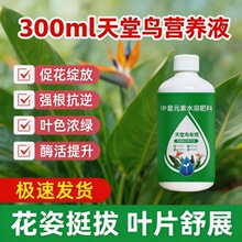 �����B���àI�BҺ�����S�~��߅���_�~�Ӱl�S�����҃�����ֲ�ﻨ��