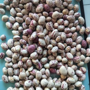 �½��A�̻�160-180��/100���̻�ܿ���F؛���l2025