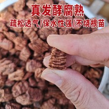 发酵松树皮腐熟完全杀菌处理安全海绵蓄水保水宠物垫材兰花植料