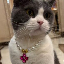 �؃r�羳���R�d�����ȦС؈�乷���������Ʒ���Ļ������