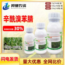 韱M 30%屽~sݴƹrș݄