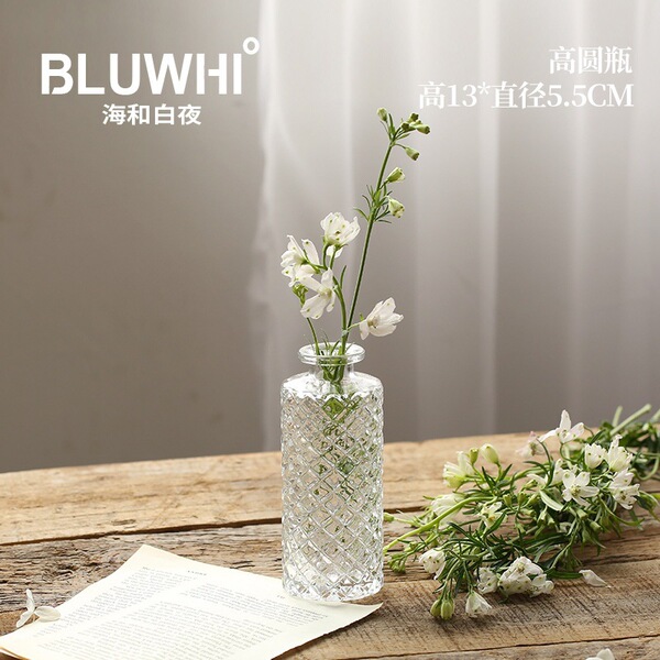 Small glass vase retro light luxury embossed transparent French ins…