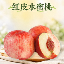 山东红皮水蜜桃 代发3/5斤红毛桃大果装应季鲜桃新鲜水果金秋红蜜