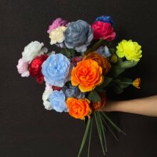 ���Q3�^��ĵ�����滨 ��c�Ƶ��b���·���ٻ�ˇ��ꐔzӰ����