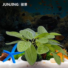 ���沼ˇˮ�ݶ��~�~ ��ˮ��ˮ�ܼٲ� ΢���^�쾰�b�Ʒ �~�ה[��