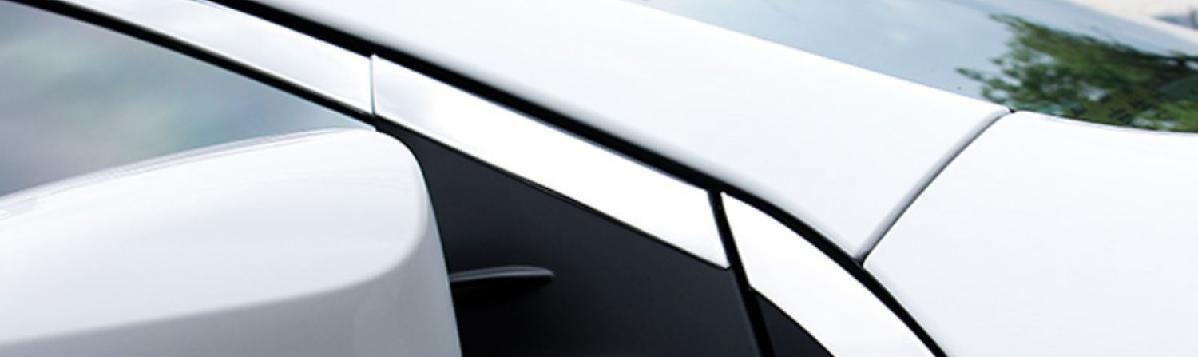 03-19 Model Prado Window Trim Strips, Modified Decorative Strips for Toyota Prado Body, Default Feature