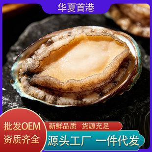 �����l�r������U�~���r����U�~���l���U�~�ɷǻ��w�U�~���r��̖