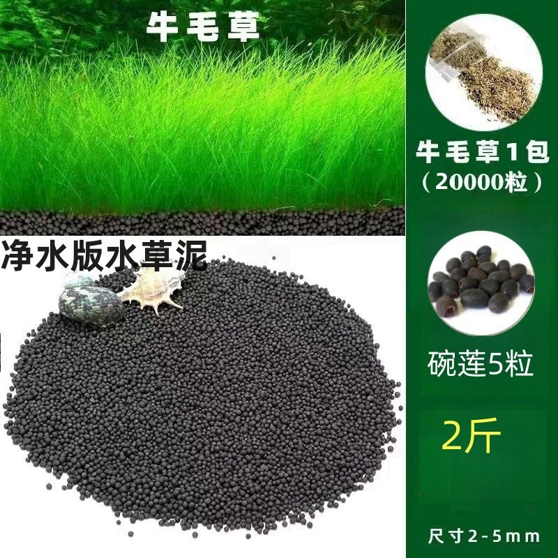 [핫세일] 워터그래스머드 1.0kg - 무소머리풀 20,000캡슐 + 볼연꽃 5캡슐