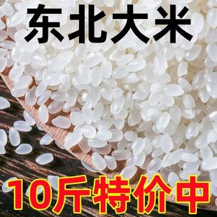 �����|������10�ﮔ�����׈A��������5kg���غ����طNֲ�|����2.5