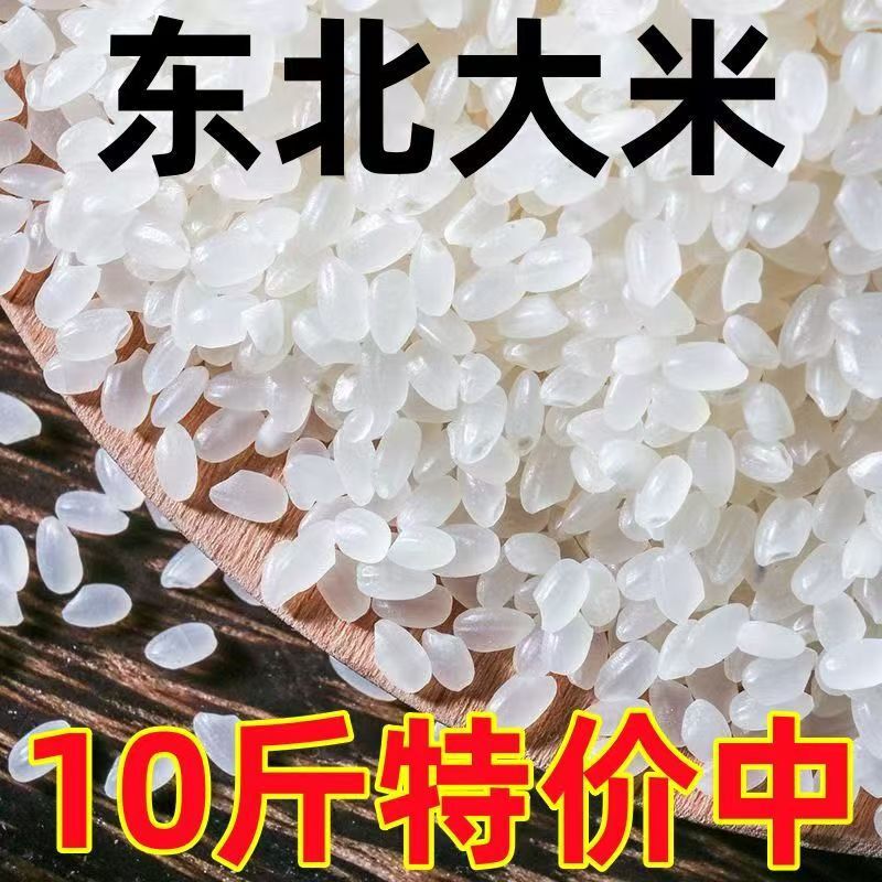 Seasonal Northeast Rice 5kg Seasonal New Rice Round Grain Pearl Rice 5kg Cold Land Black Soil Cultivated Northeast Rice 2.5 Seasonal Northeast Rice 5kg Seasonal New Rice Round Grain Pearl Rice 5kg Cold Land Black Soil Cultivated Northeast Rice 2.5
