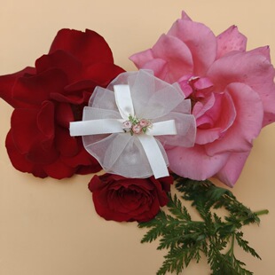 �¿ˇ�ֹ���DIY������b�o�Ϻ����Y�����M�ϻ��l��^�Ь����