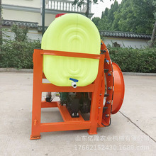 С݆șC 8ױؓʽșC ľԄչ܇șC