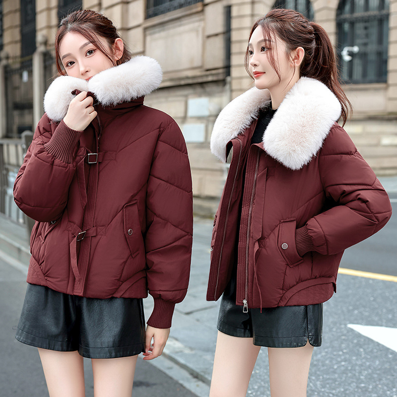 Spot comercio exterior 2025 invierno temperamento coreano relajado cálido cuello de cabello con solapa abrigo de algodón corto mujer image 1