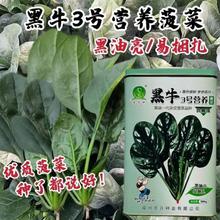 ţ˷Nļ߲˷Nͳֱ̦EA~ѷN