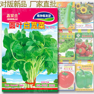 �A�~���{�˷N�� �s2020�� �߲˷N�����l �ļ�ͥԺ ���{�� �G�{��