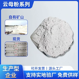 非金属粉末;其他非金属;云母