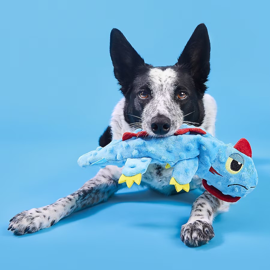 Productos transfronterizos para mascotas lagarto bb llamado sonido mascotas juguetes de peluche juguetes perros no mordidos comercio exterior