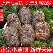 Ұ�����������ͨС�݉��������r�F�ڶ����^���^�۹�Ч